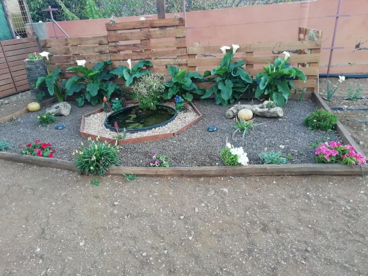 La Casita Del Naranjo Villa Agüimes Buitenkant foto